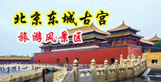 美女被我操的啊啊叫中国北京-东城古宫旅游风景区